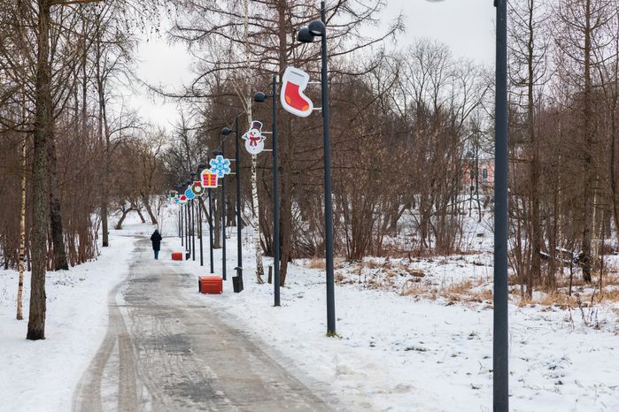 Зимний городской парк культуры и отдыха в Чехове
