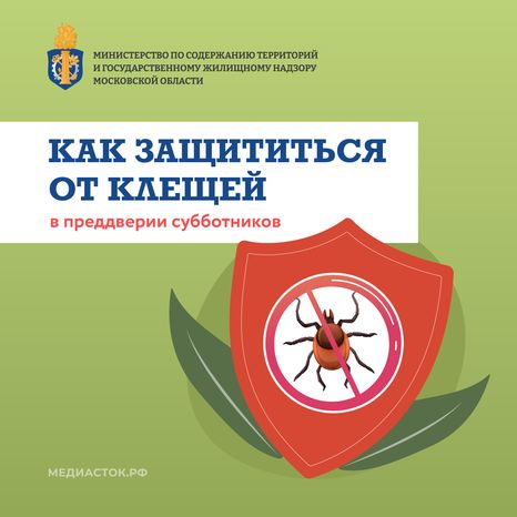 Как защититься от клещей квадрат 01