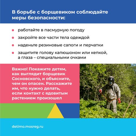 Квадрат_Борщевик Сосновского_10.png
