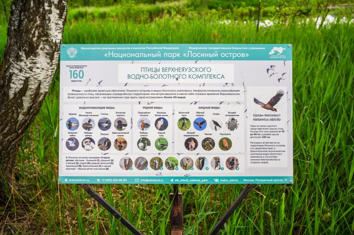 Экотропа «Заповедный лес» в Национальном парке «Лосиный остров» в Мытищах