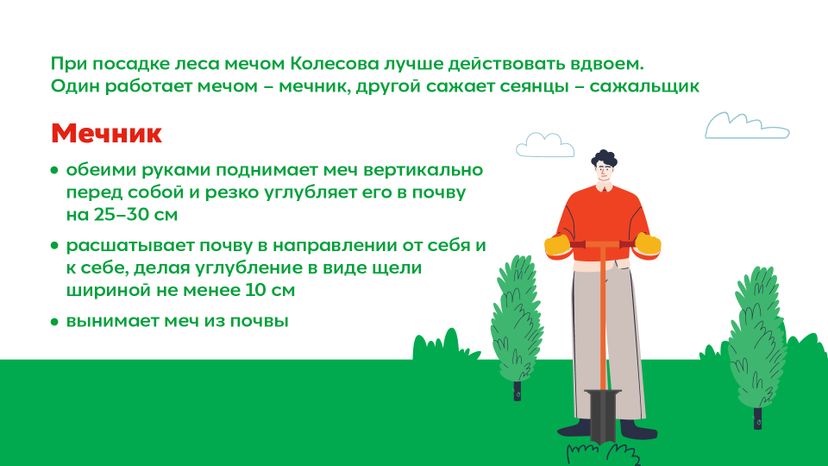 Горизонталь_ меч Колесова_03-100.jpg
