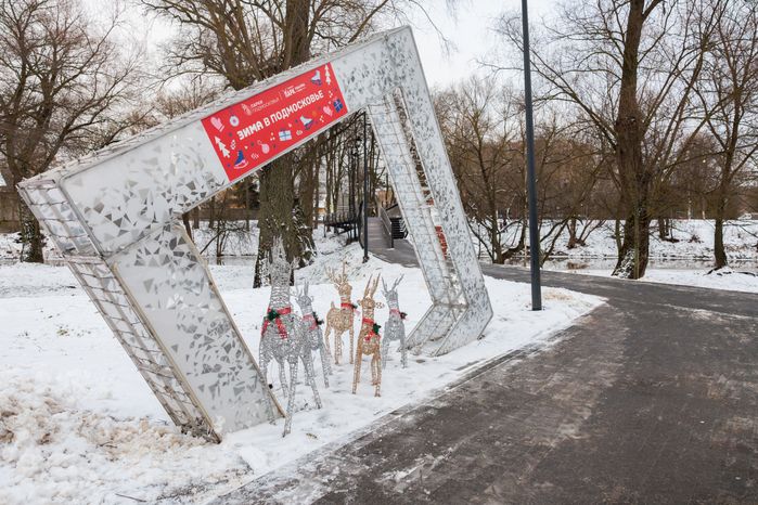 Зимний городской парк культуры и отдыха в Чехове