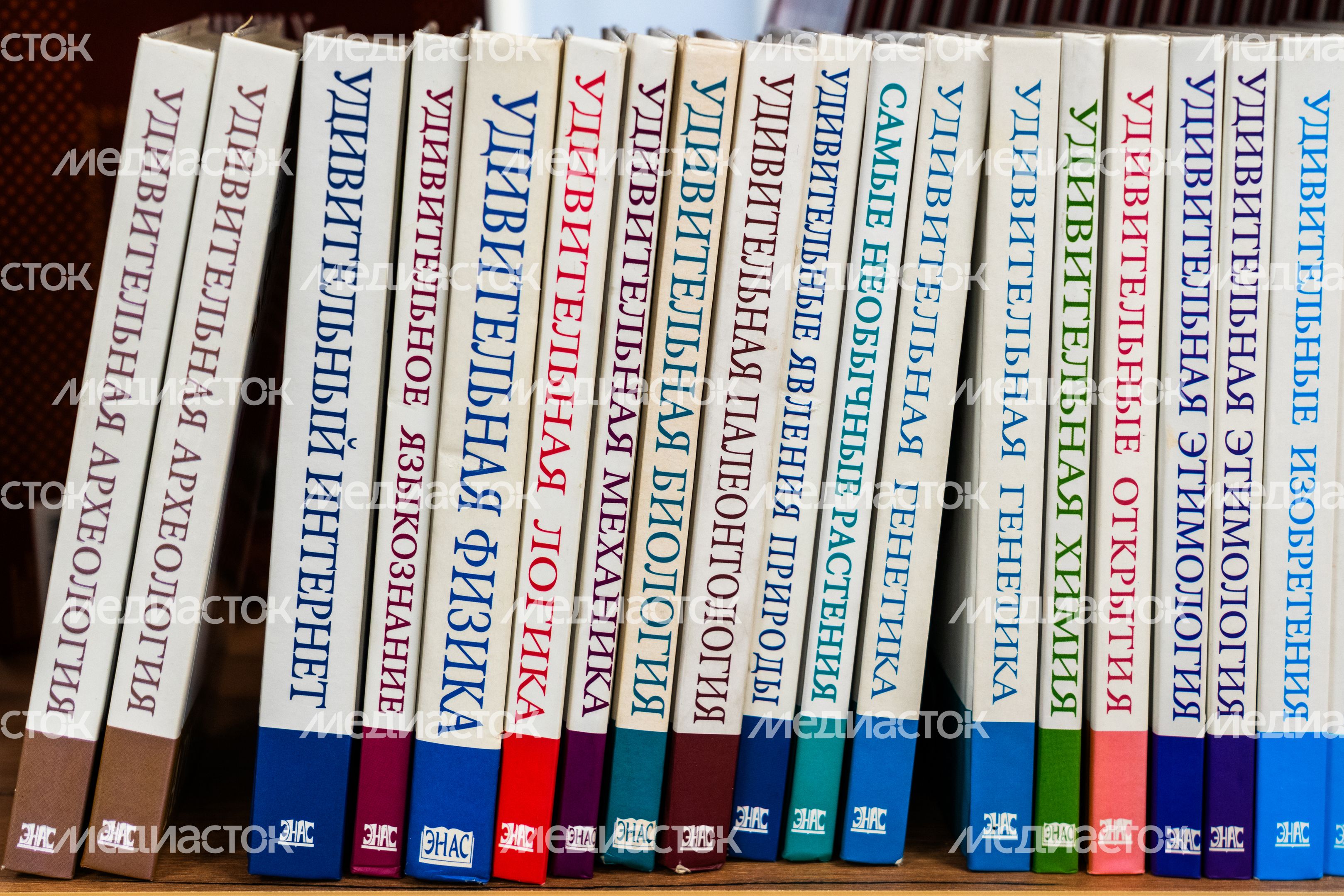 Книги на полке в Центральной библиотеке «Книгополис» – первой модульной библиотеке Наро-Фоминска Книги на полке в Центральной библиотеке «Книгополис» – первой модульной библиотеке Наро-Фоминска
