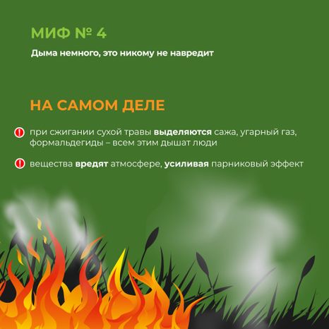 комлесхоз_пал_кв_5.jpg