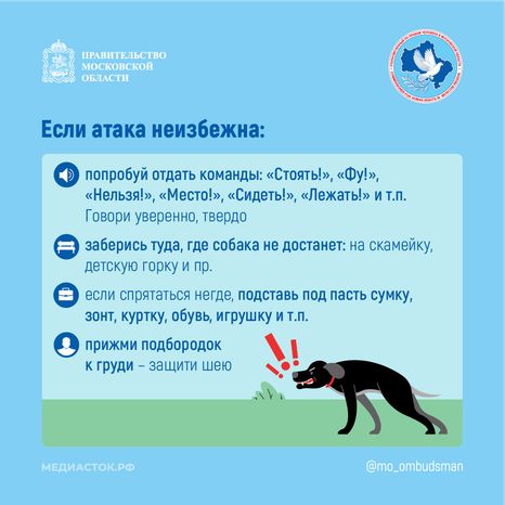 Осторожно злая собака квадрат 06
