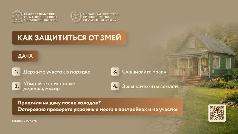 Гадюки горизонталь 04