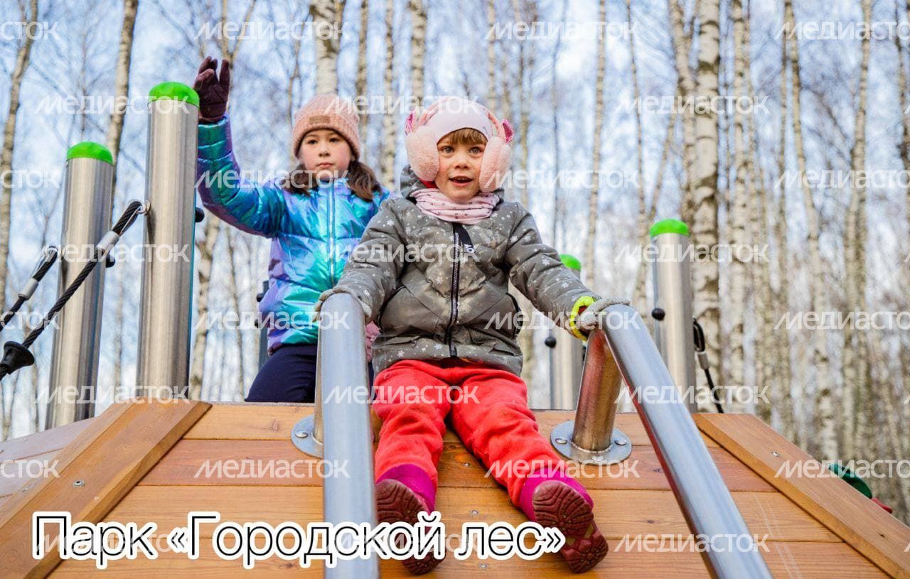 Рабочая встреча Губернатора Подмосковья с главой городского округа Домодедово