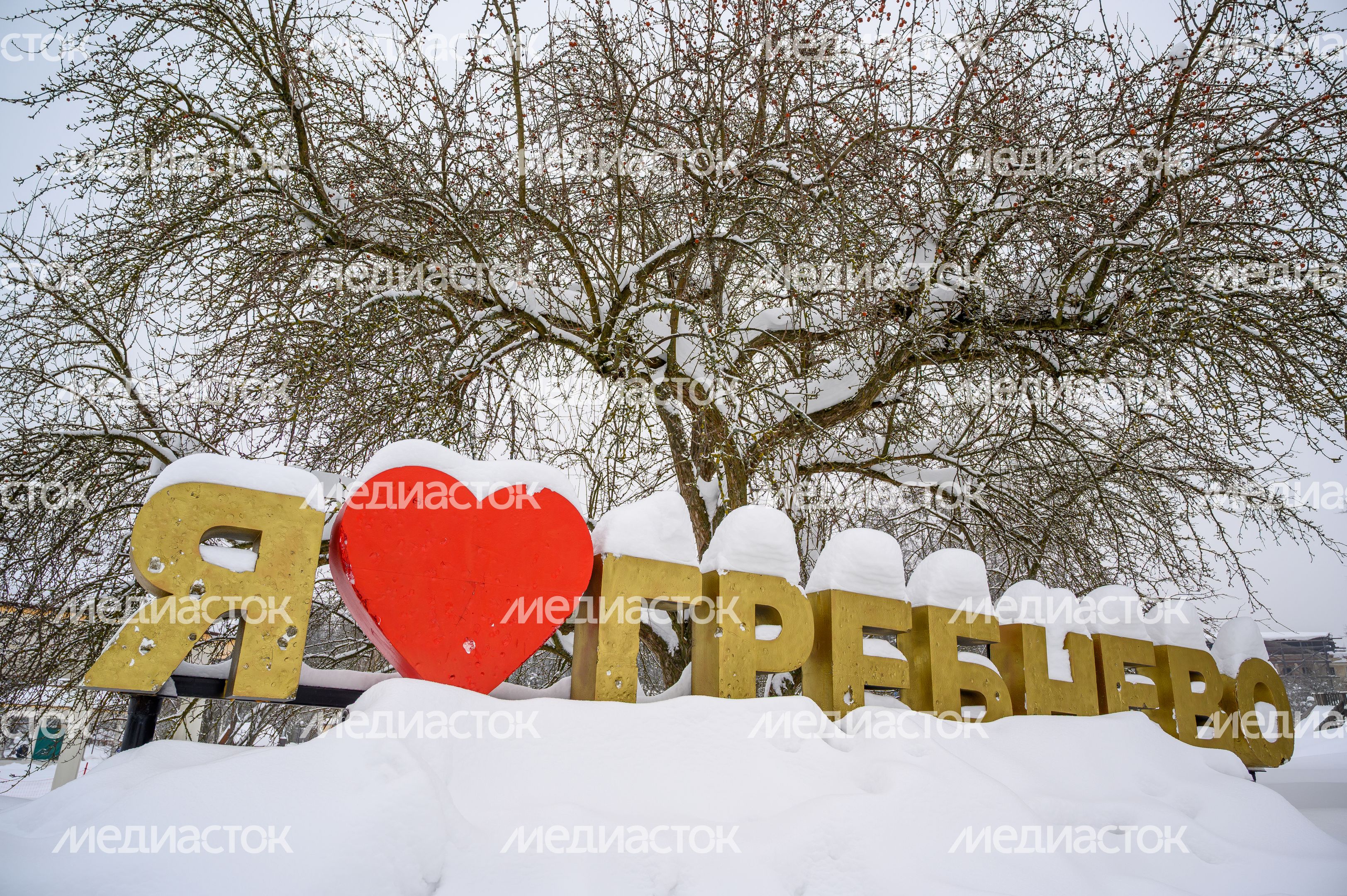 Усадьба Гребнево зимой в Щелково Усадьба Гребнево зимой в Щелково