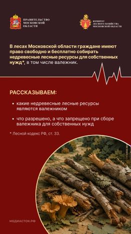 Валежник для собственных нужд вертикаль 02