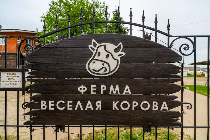 Ферма «Веселая корова» в деревне Антоново Раменского округа