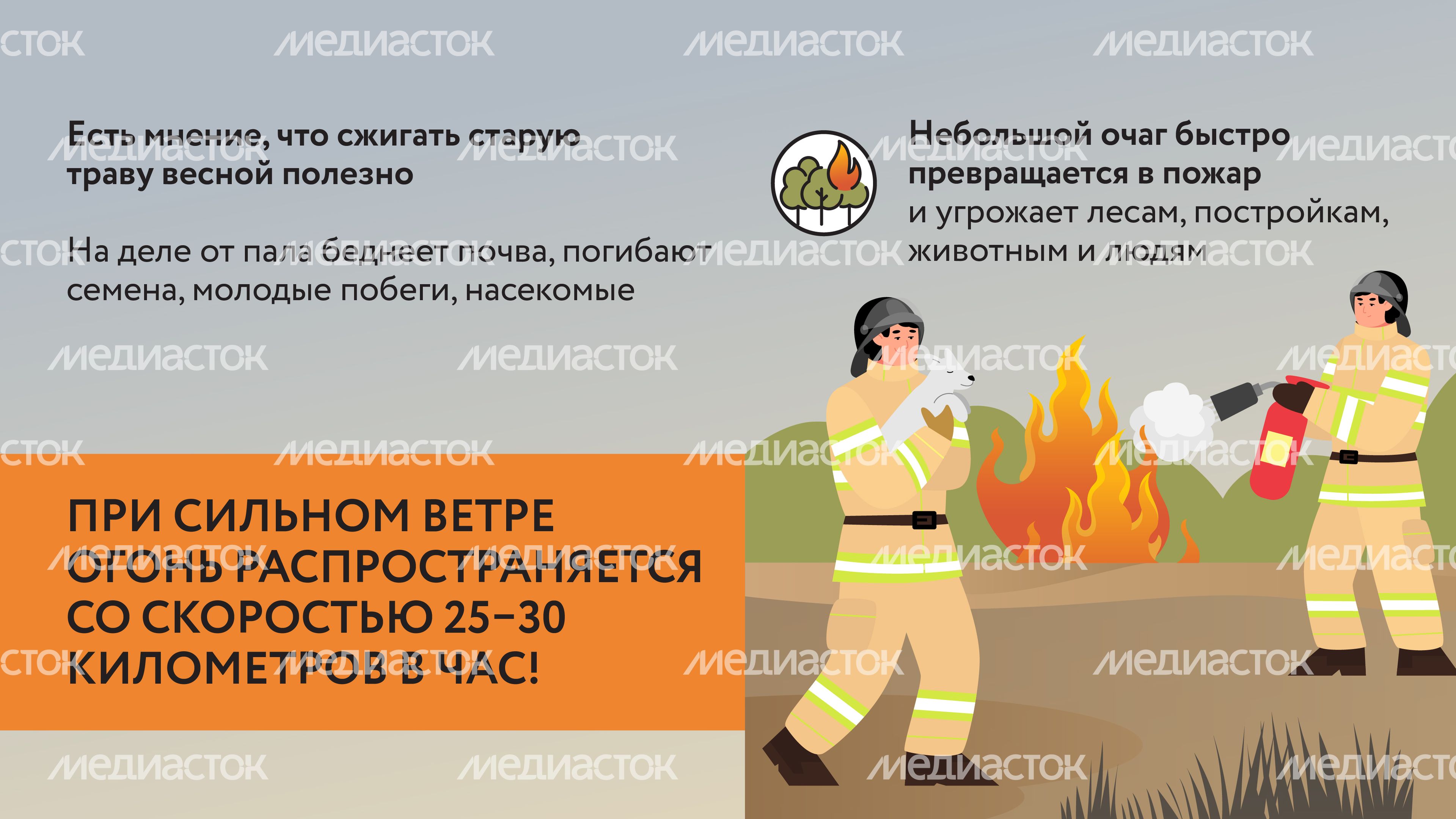 Пал травы-07.jpg