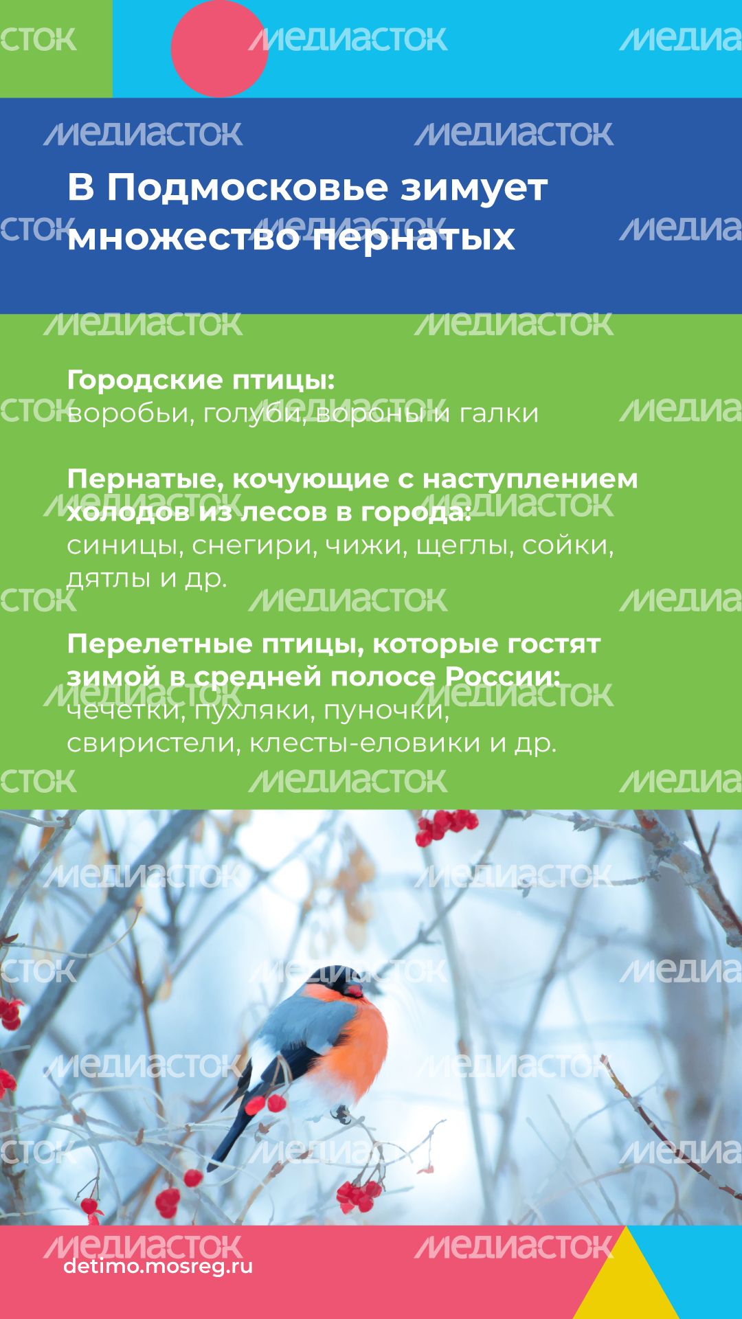 Синичкин_день_вертикаль_03.jpg