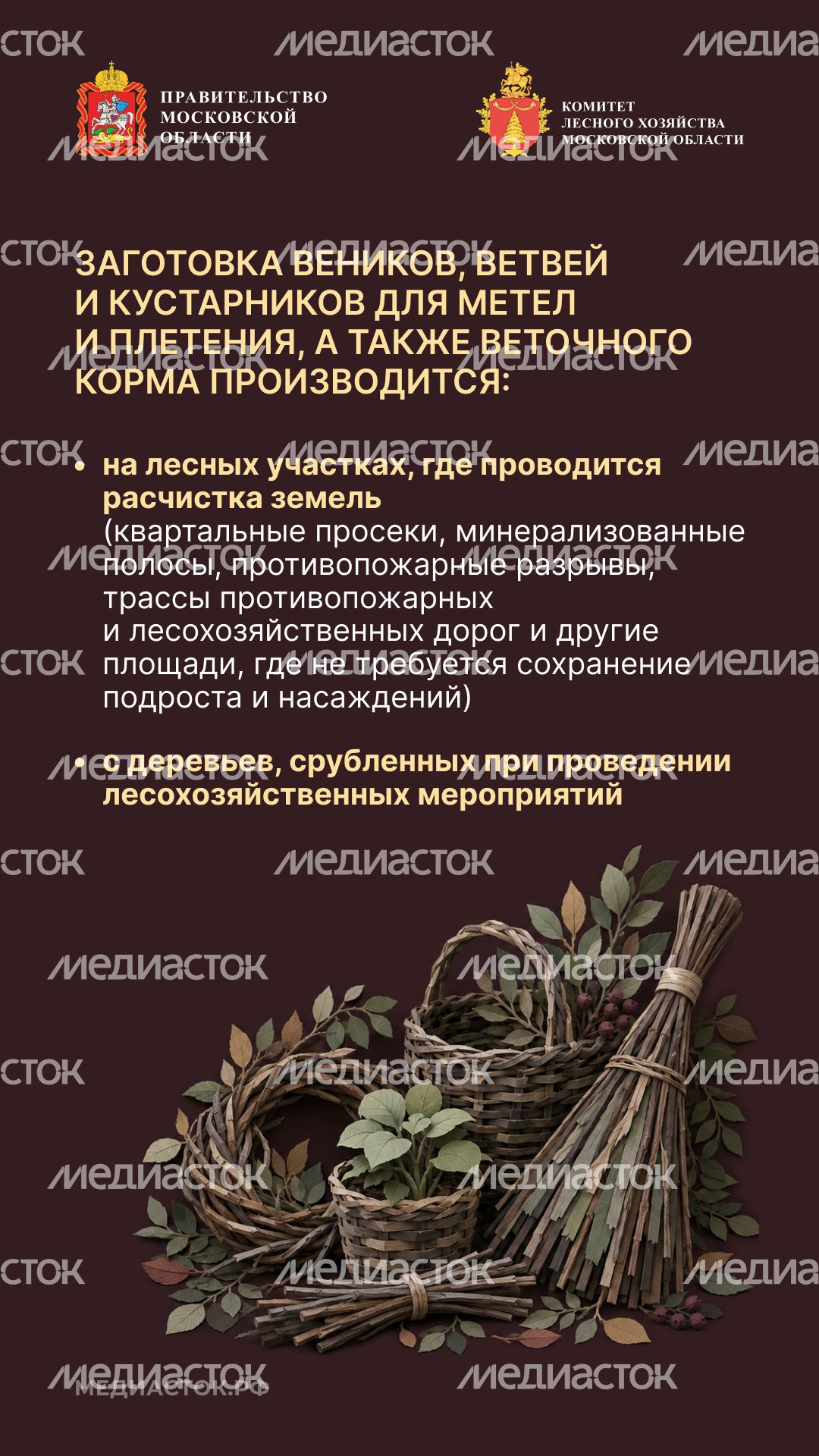 Недревесные ресурсы для собственных нужд Вертикаль 07