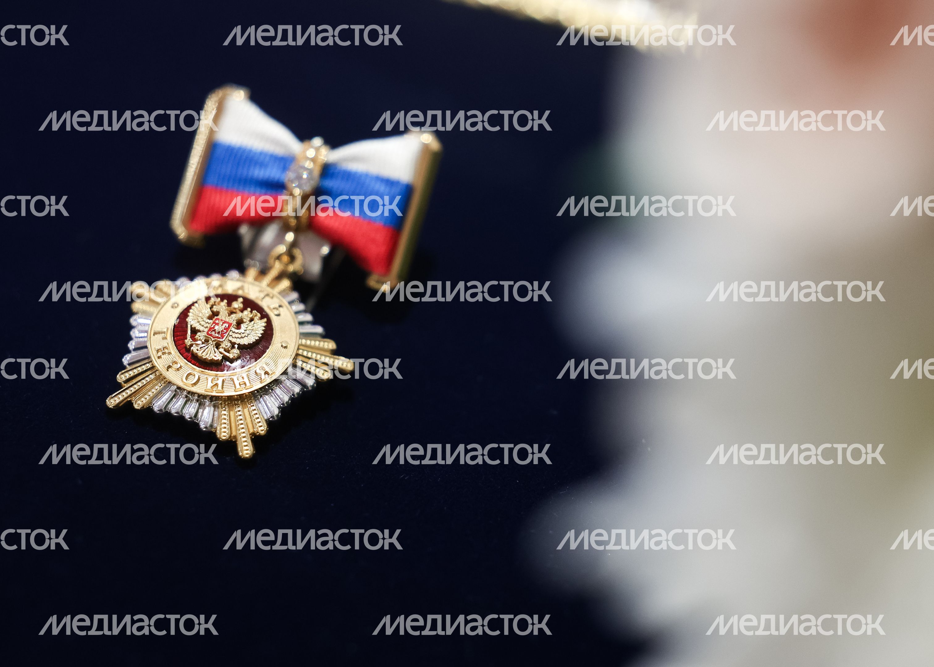 Знак особого отличия "Мать-героиня" Знак особого отличия "Мать-героиня"