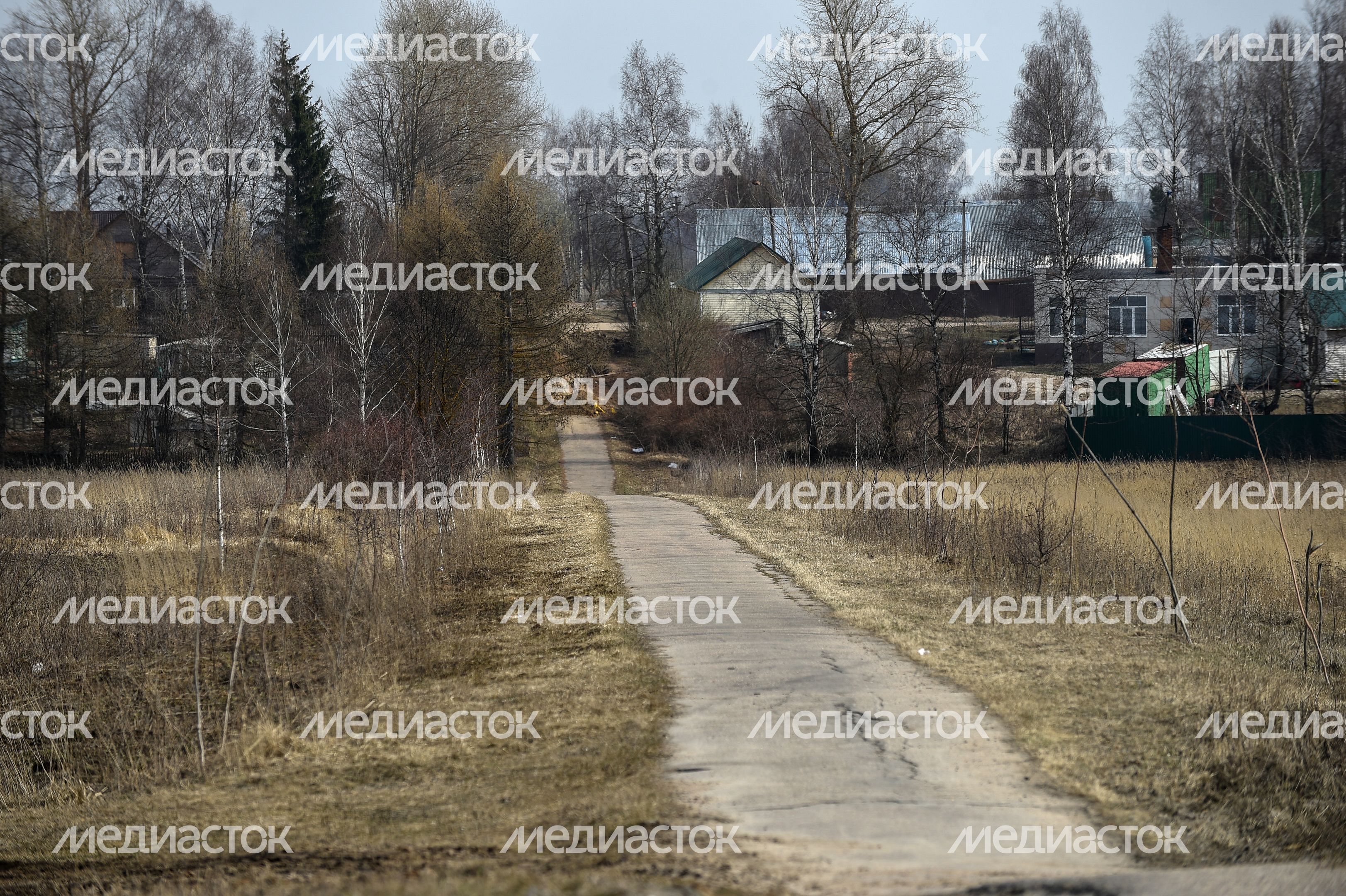 Сельская местность в Шаховском районе