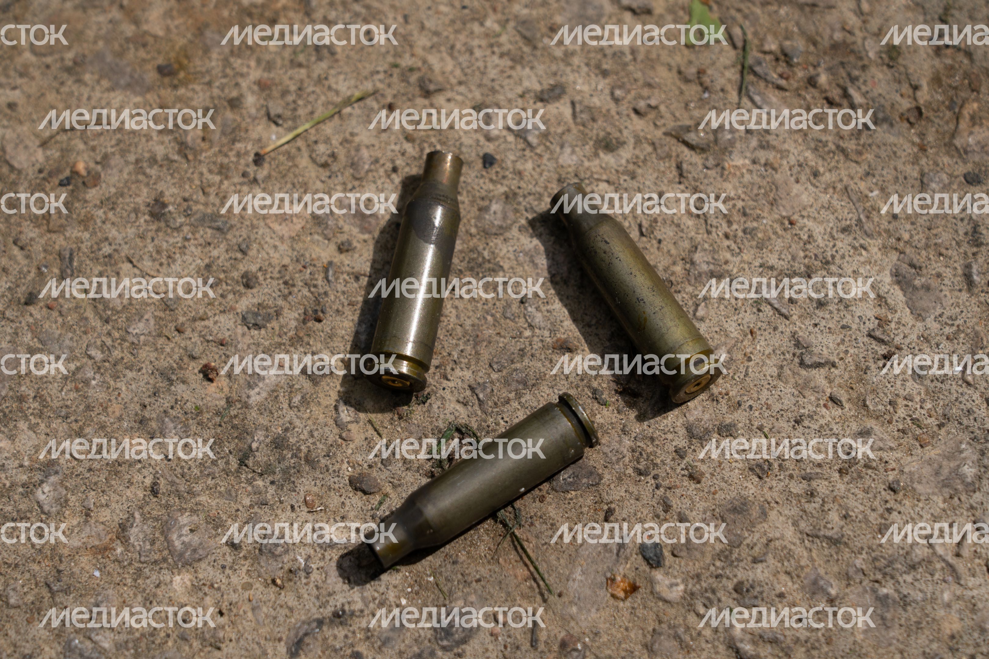 Мемориал латышской дивизии. Перезахоронение бойцов ВОВ Мемориал латышской дивизии. Перезахоронение бойцов ВОВ