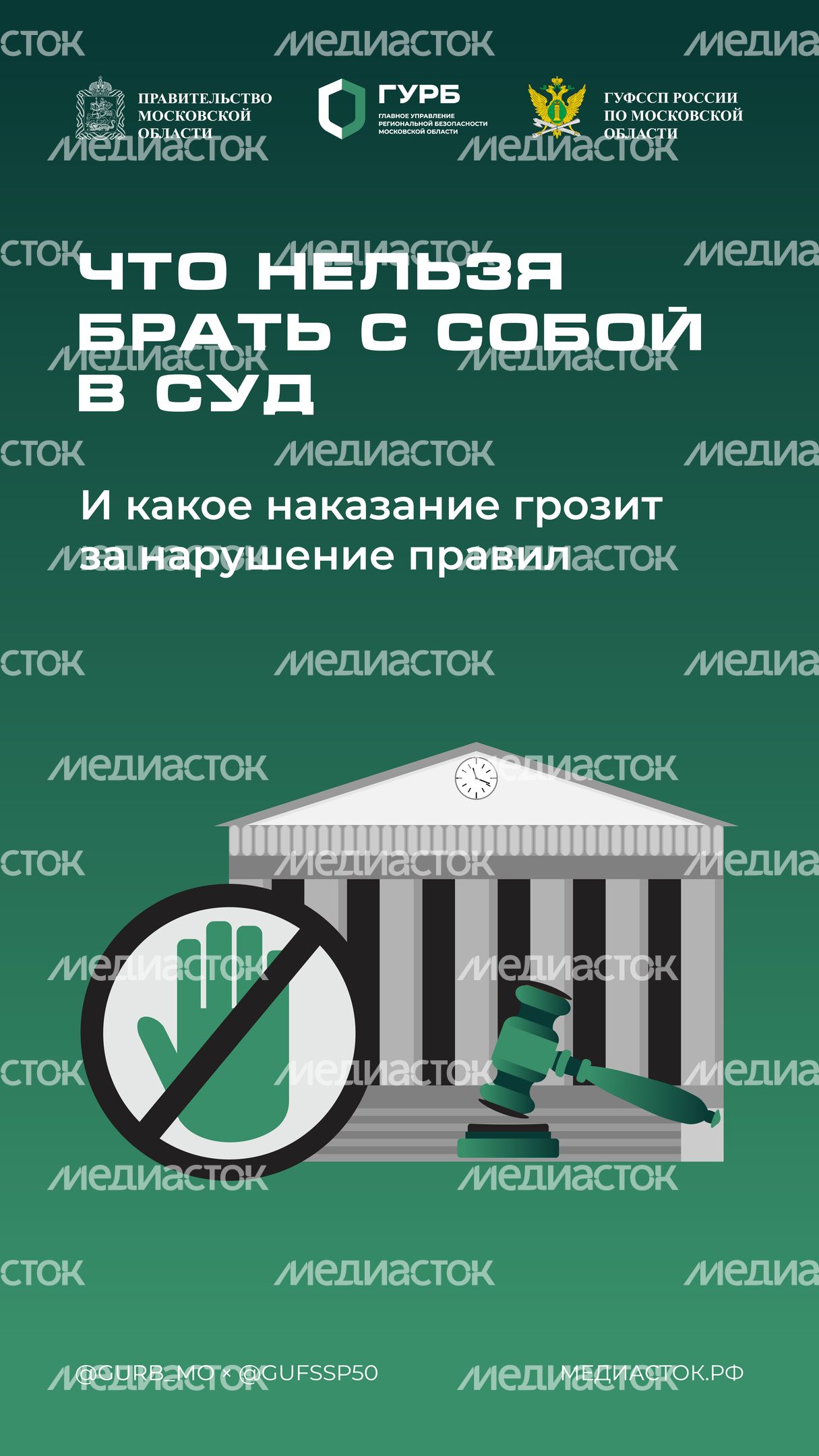 Что нельзя брать с собой в суд Вертикаль 01 С гербом МО Что нельзя брать с собой в суд Вертикаль 01 С гербом МО