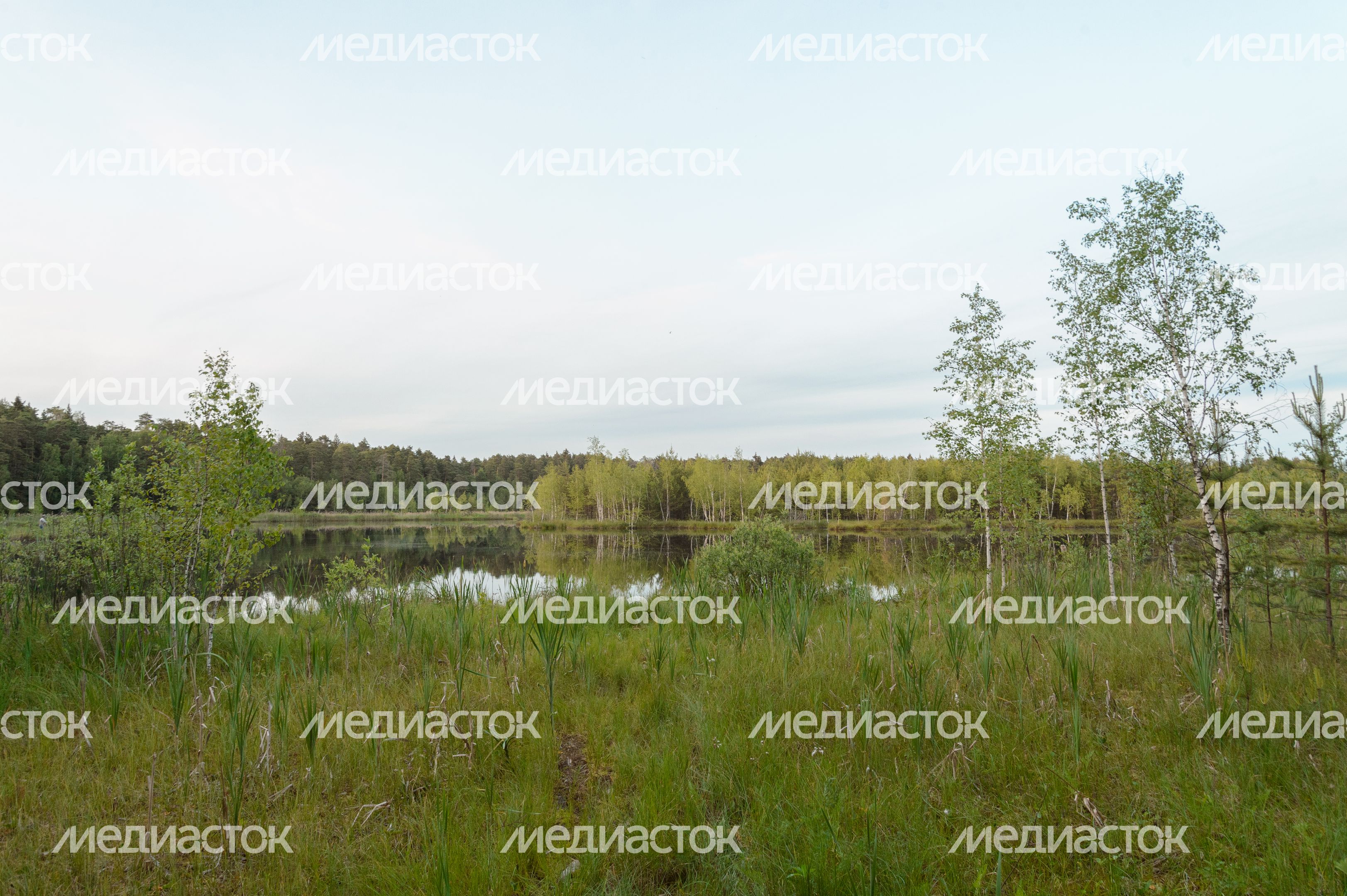 Озеро Безменковский Карьер