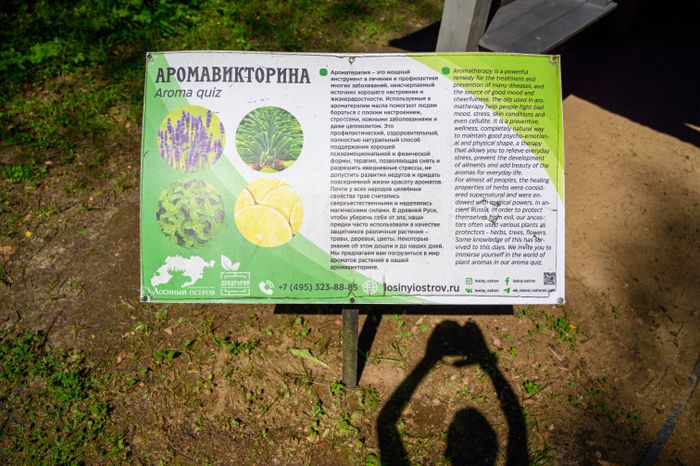 Эколого-просветительский комплекс "Дендрарий" в Мытищах