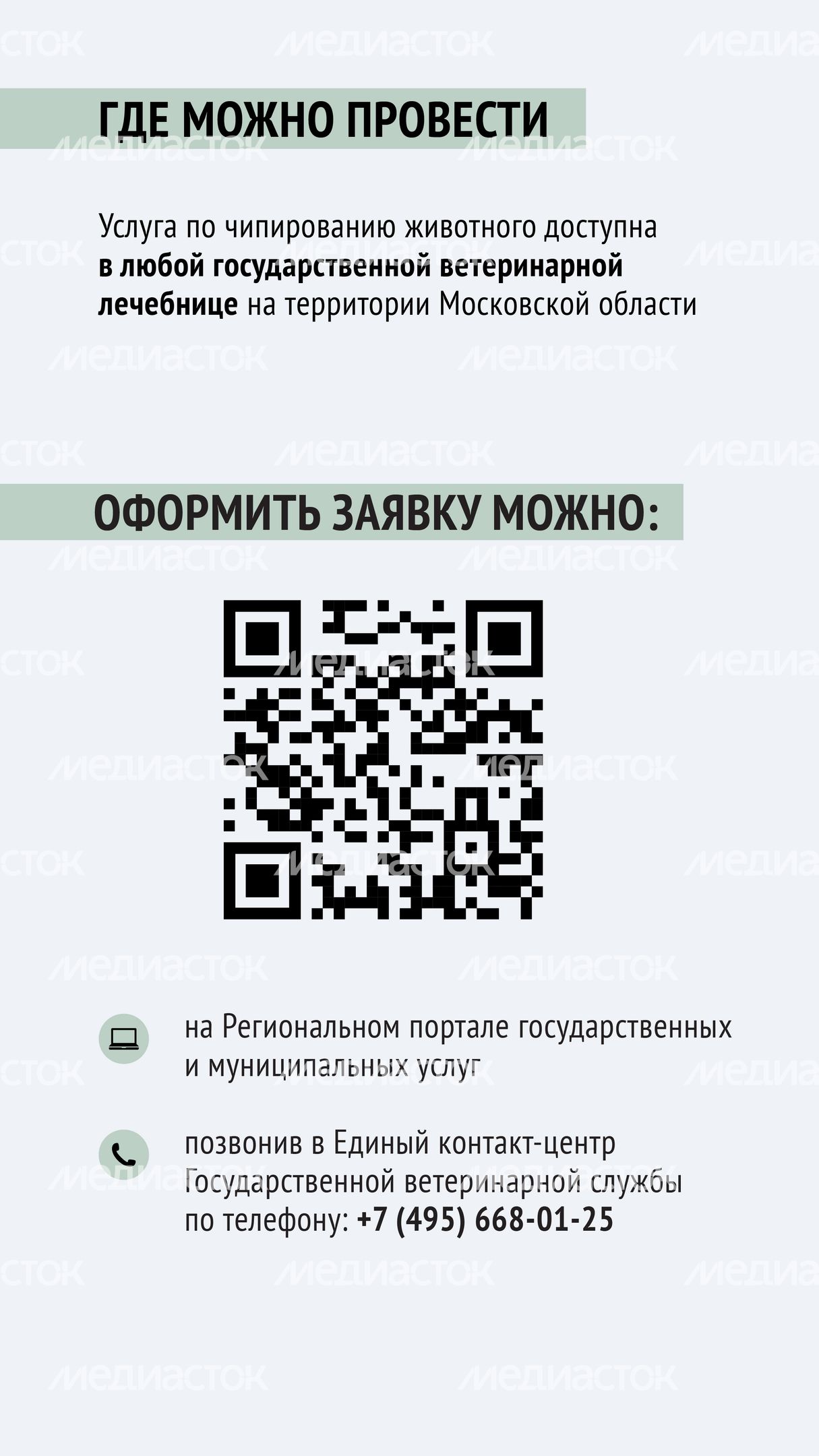 Чипирование-06.jpg