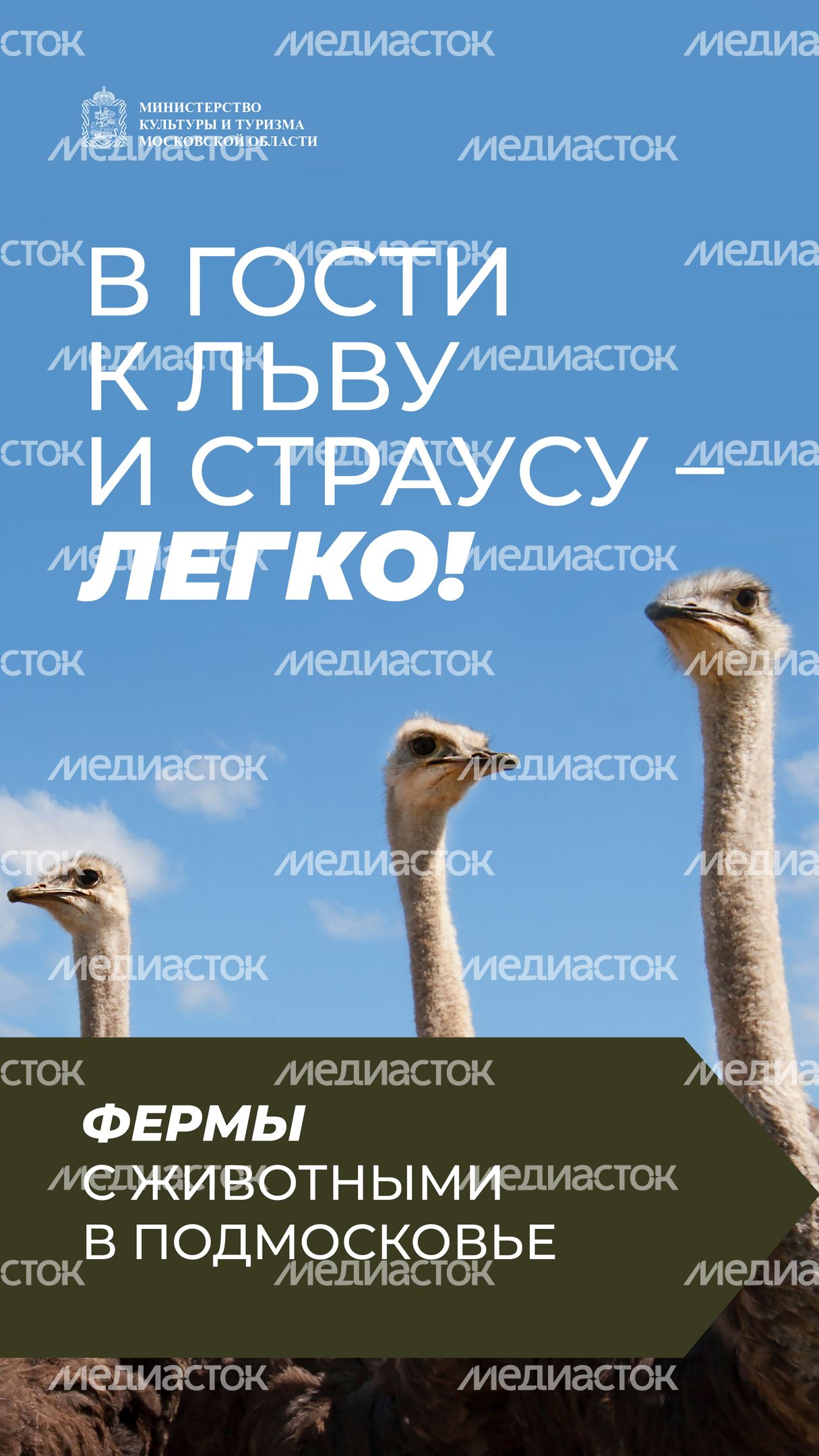 Фермы с животными-01.jpg