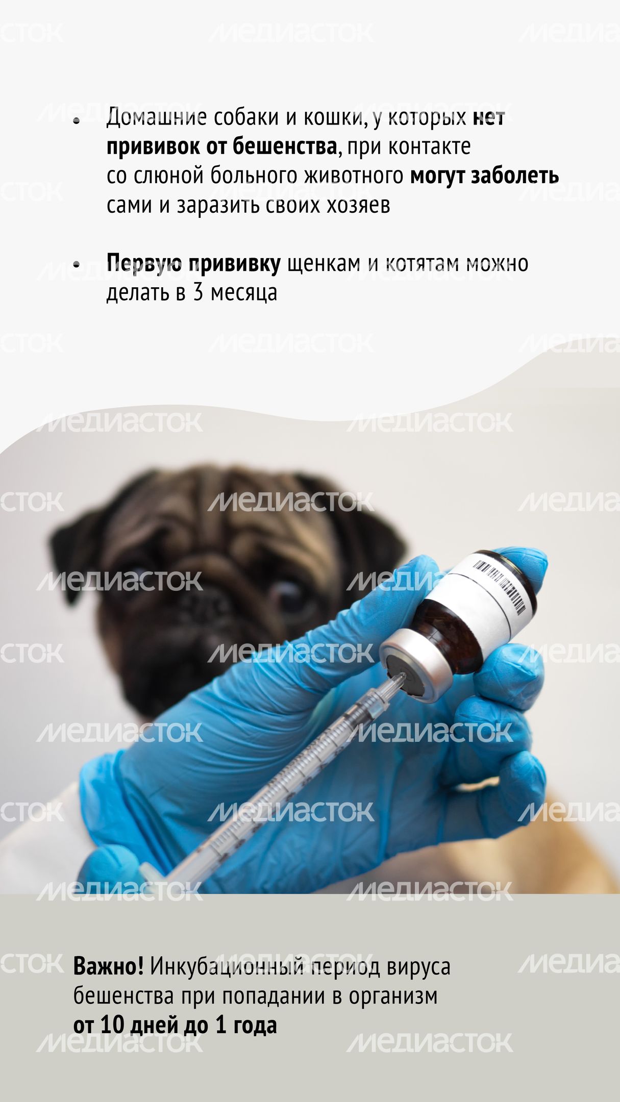 Вакцинация