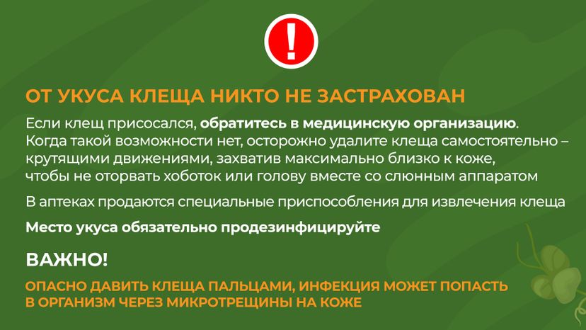 комлесхоз_клещи_гор_8