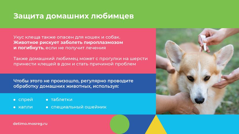 Горизонталь осторожно клещи 02.png