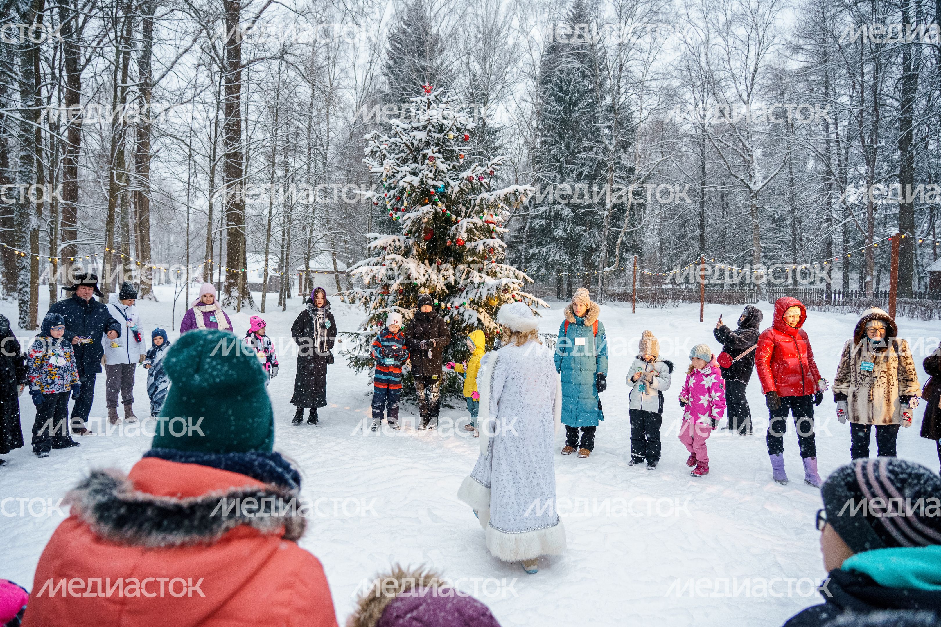 Новогодняя программа «Елка в Мелихове. Петя и тайна волшебных часов» в музее-заповеднике А.П. Чехова «Мелихово»