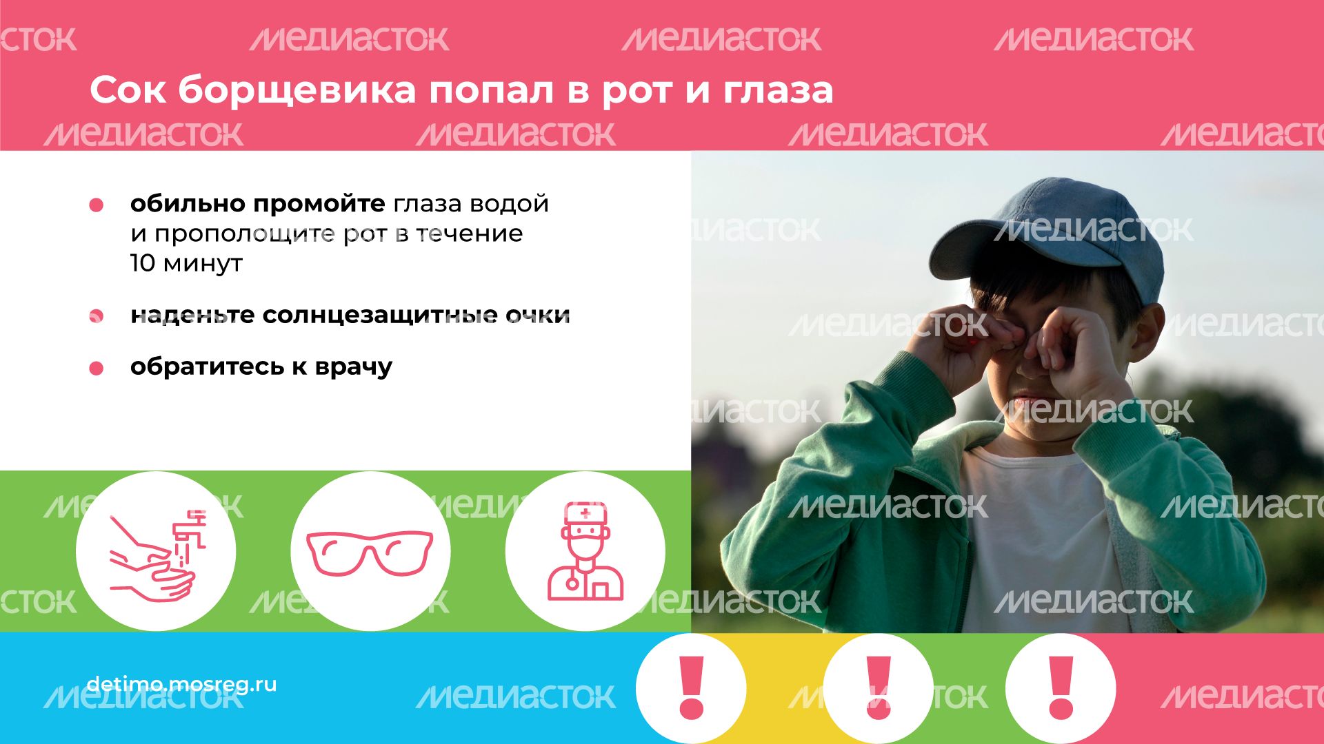 Горизонталь_Борщевик Сосновского_07.png