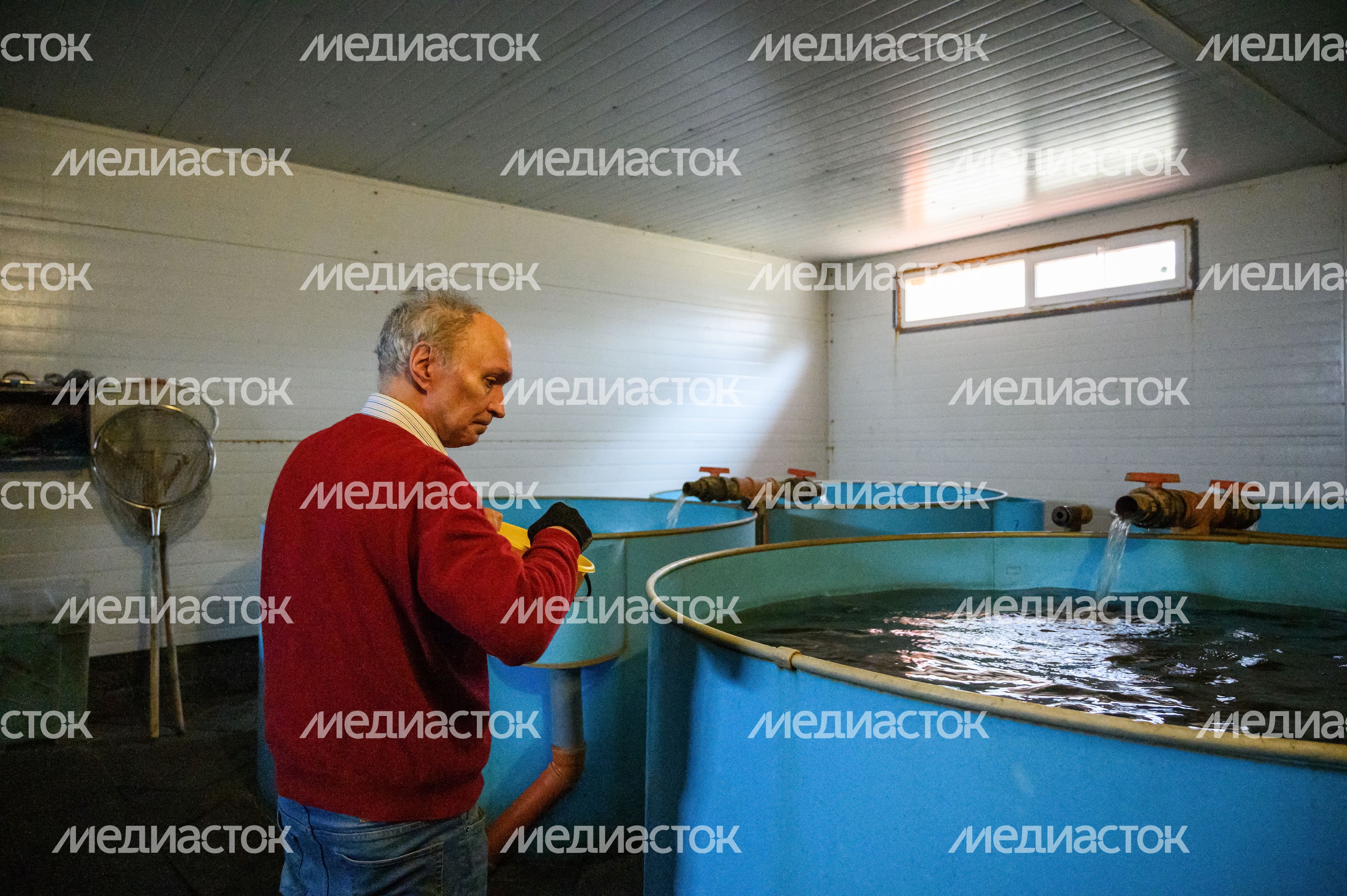 Свежую рыбу выращивают на акваферме «Астапово» в Луховицах Свежую рыбу выращивают на акваферме «Астапово» в Луховицах