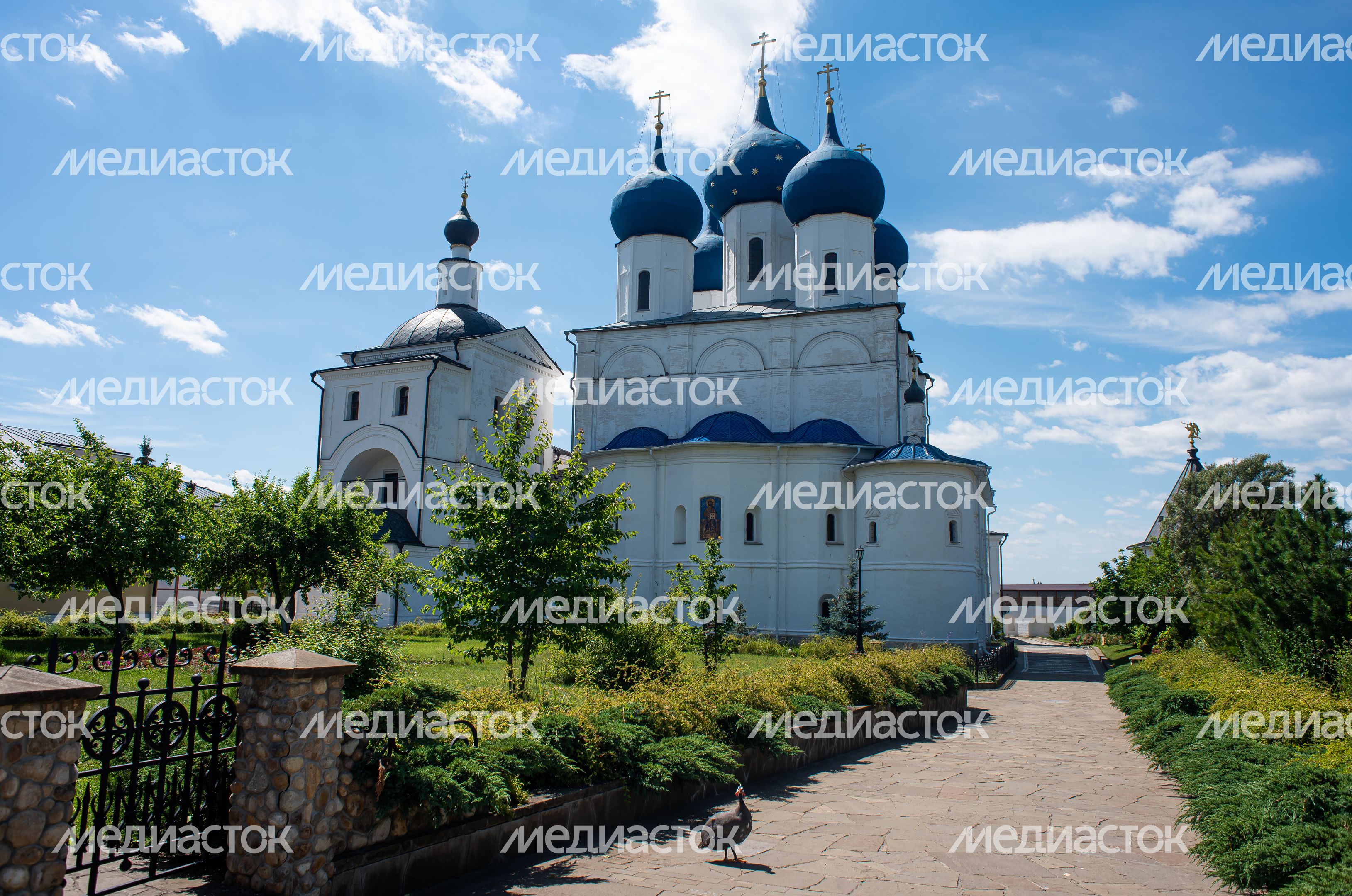 Летние виды города Серпухов