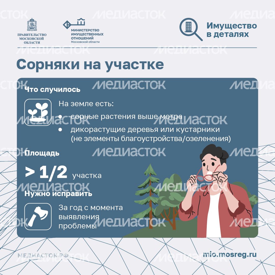 Неиспользование земельных участков квадрат 03 Неиспользование земельных участков квадрат 03