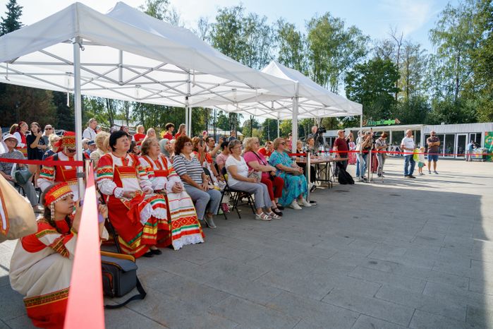 Фестиваль-конкурс народного творчества «Ашукино-Фэст. Сцена без границ» в Пушкино