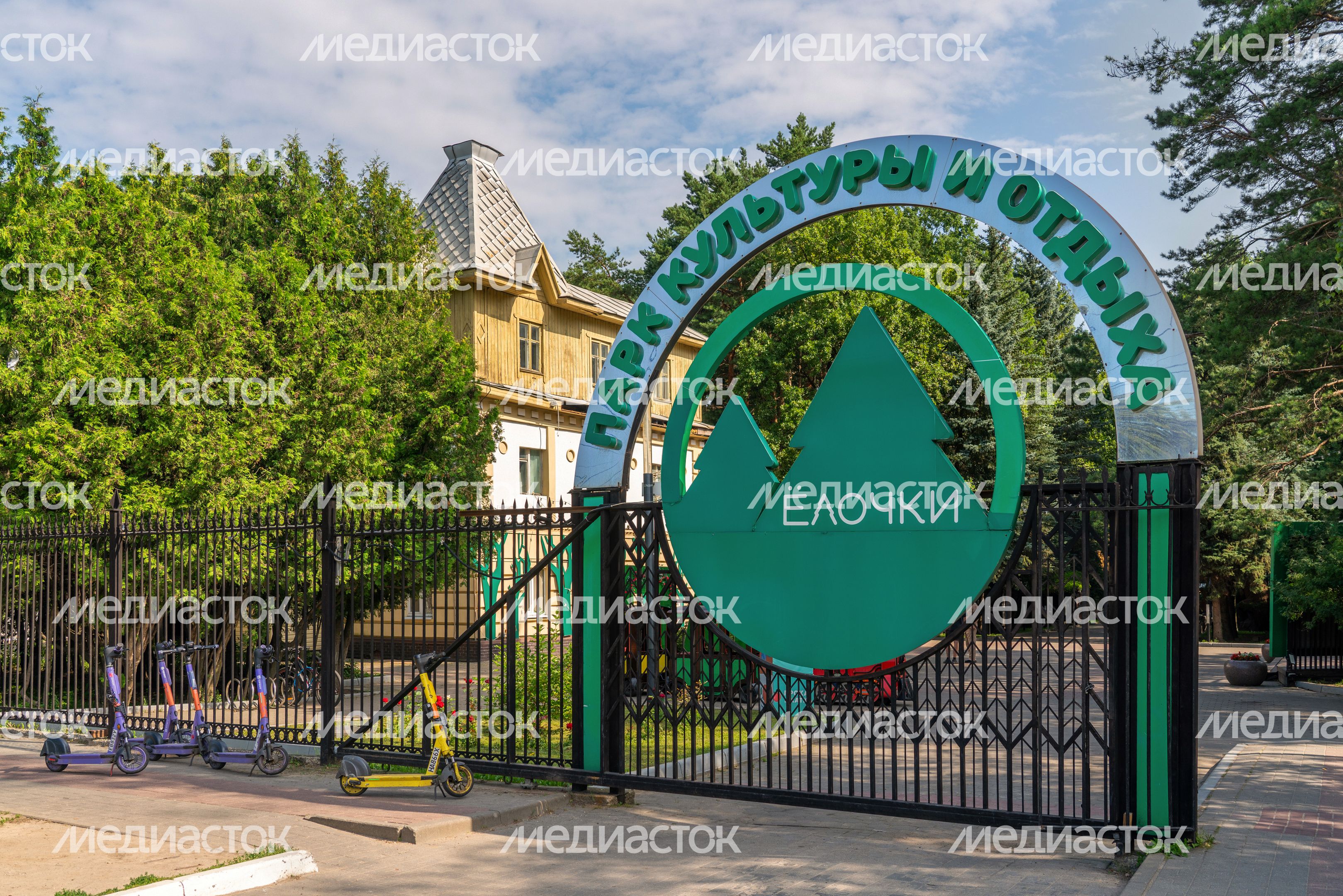 Лето в парке культуры и отдыха «Елочки» в Домодедово