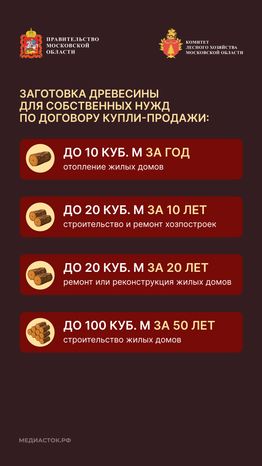Как заготовить древесину вертикаль 03