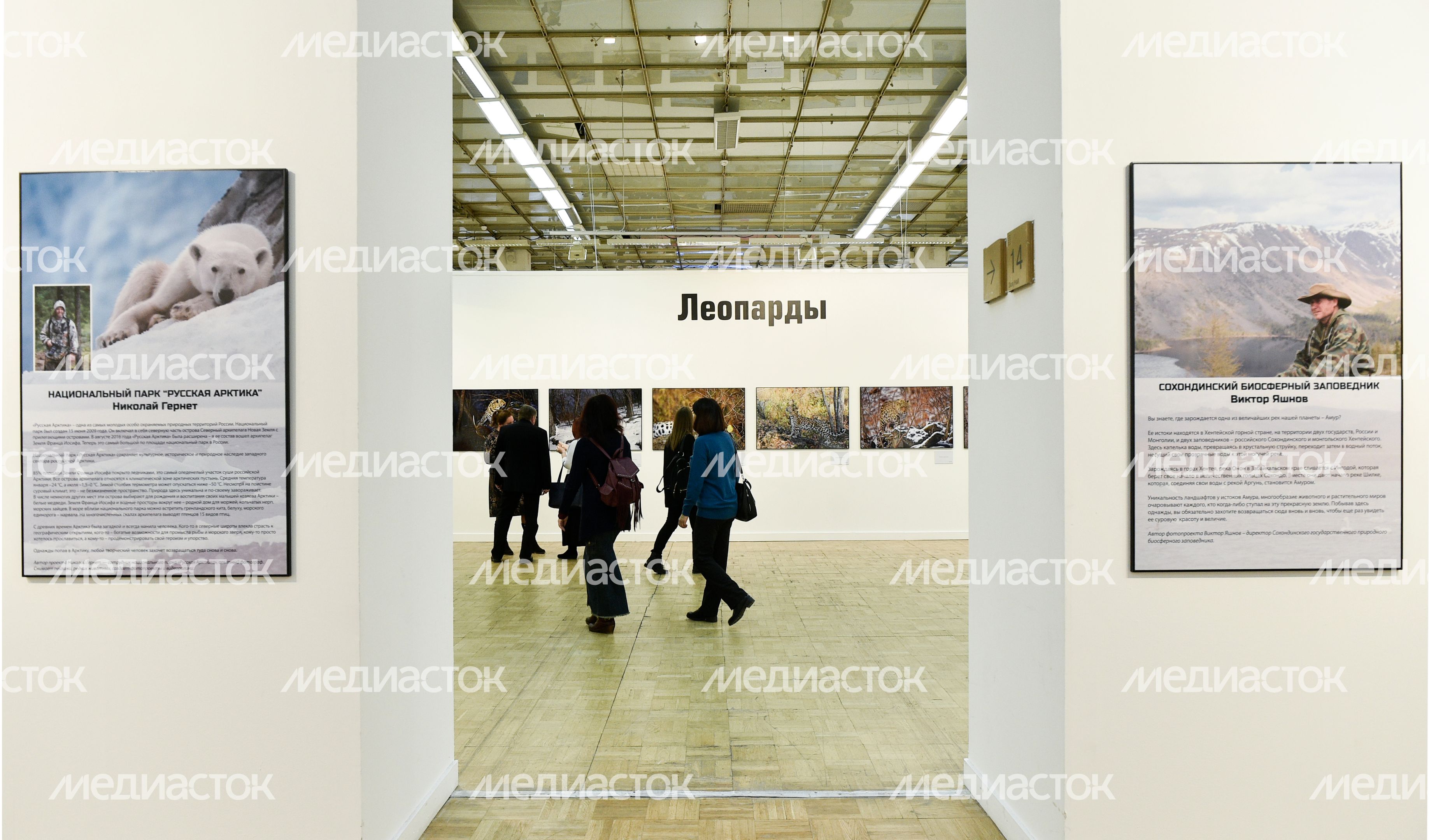 Открытие выставки «Первозданная Россия» в Москве