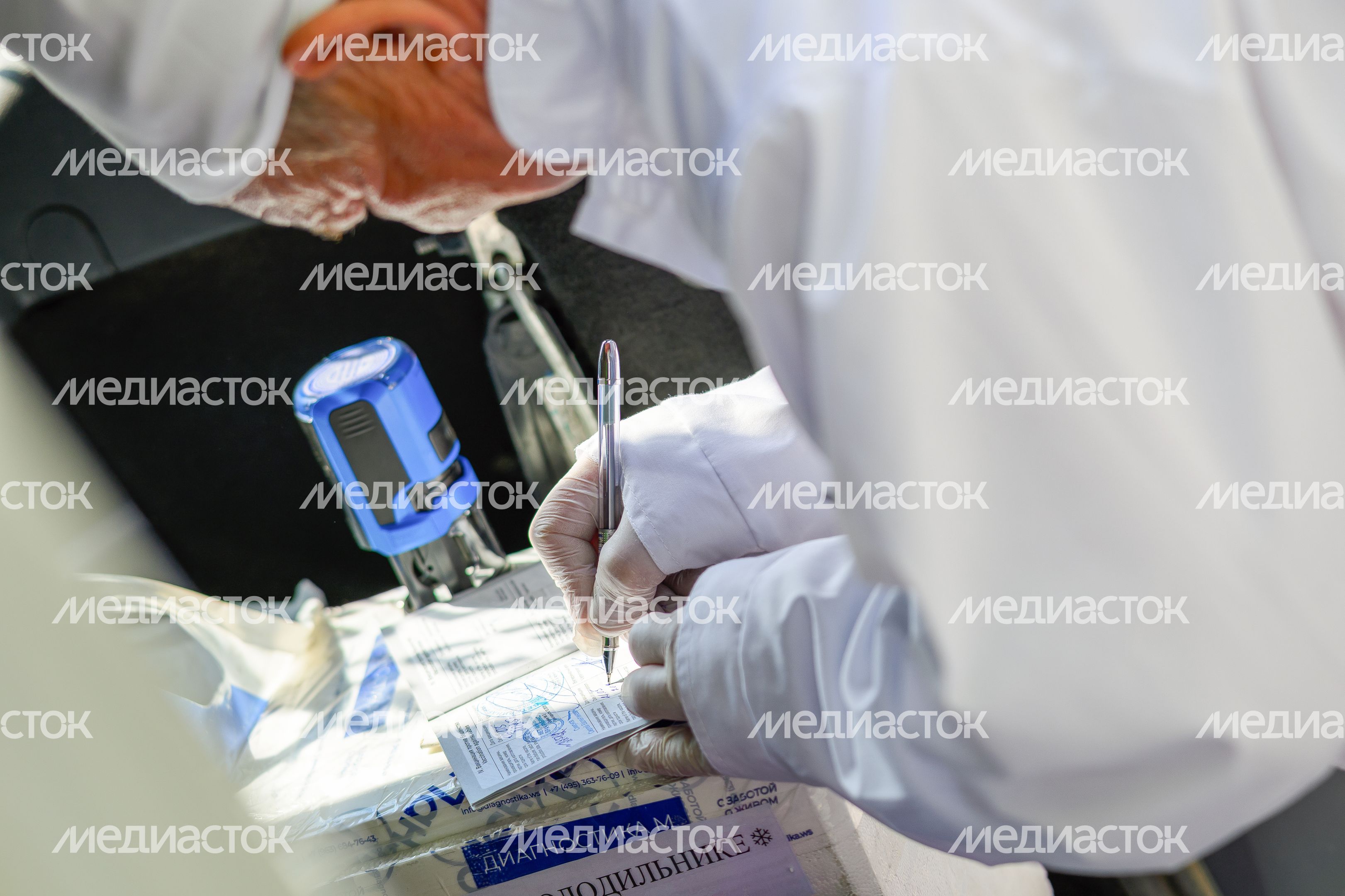 Выездная акция по чипированию и вакцинации животных в парке «Взлет» Домодедово Выездная акция по чипированию и вакцинации животных в парке «Взлет» Домодедово