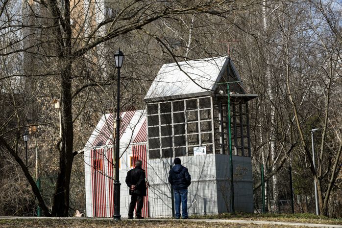 Голубятня в Москве