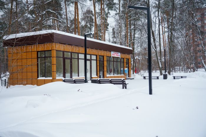 Богородский. Ногинск. Глуховский парк. Зима