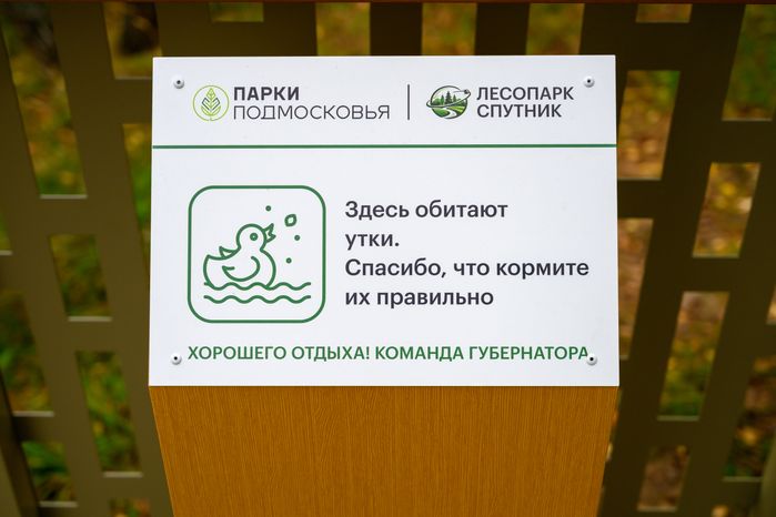 Благоустроенный лесопарк «Спутник» в Щелково осенью