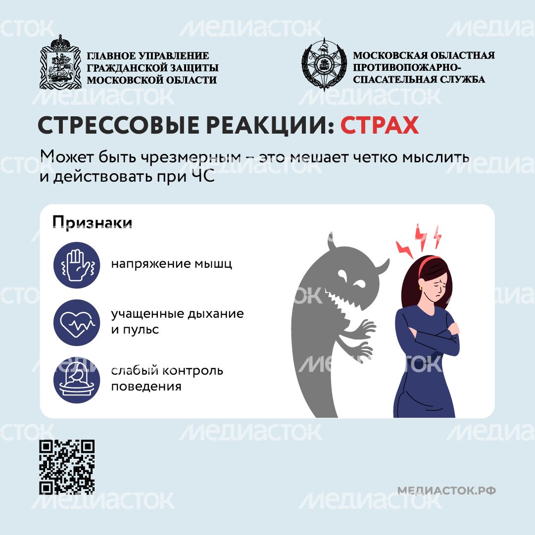 Стрессовые реакции страх квадрат (1) Стрессовые реакции страх квадрат (1)
