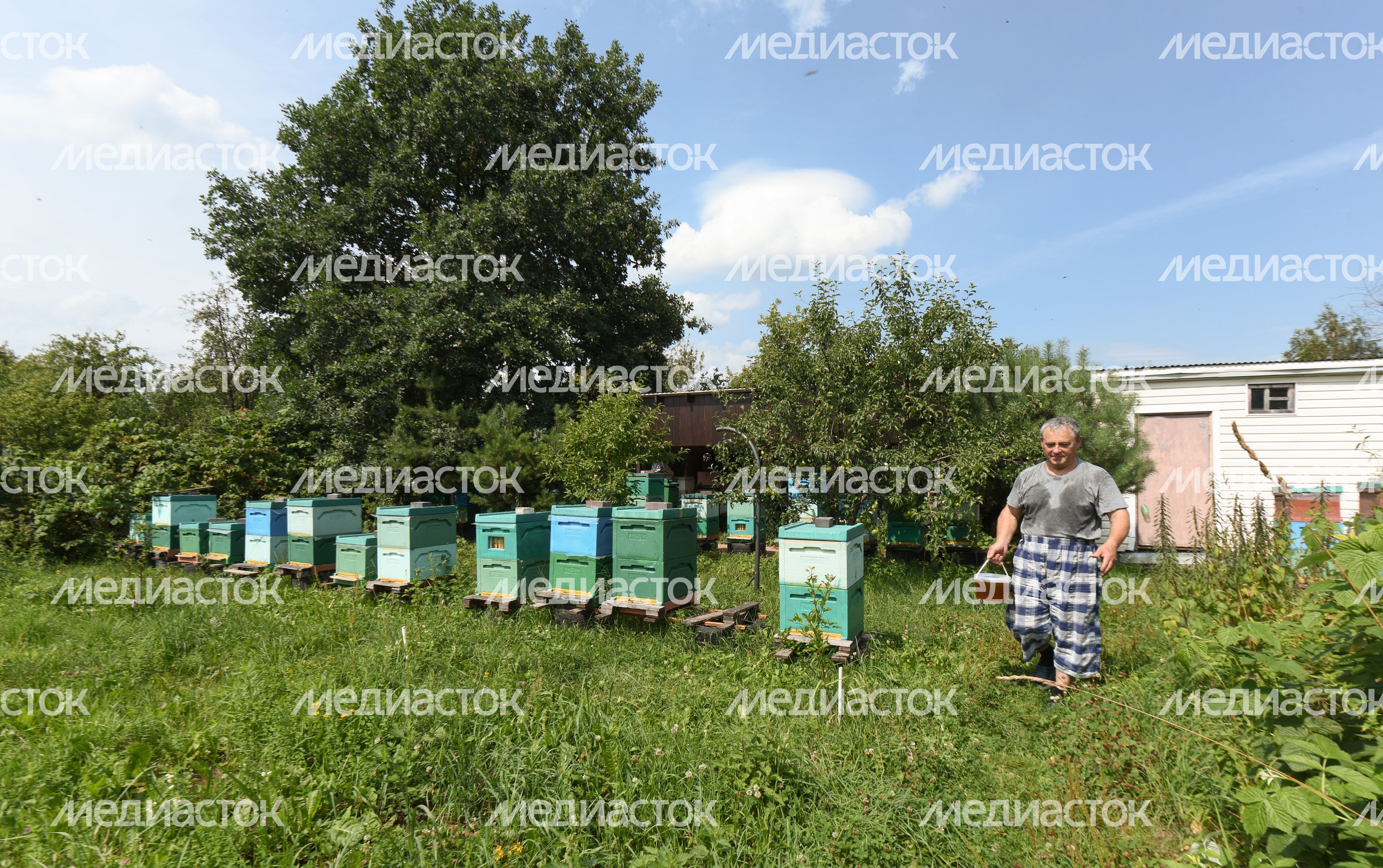 Пчеловод из Королева, 2 часть