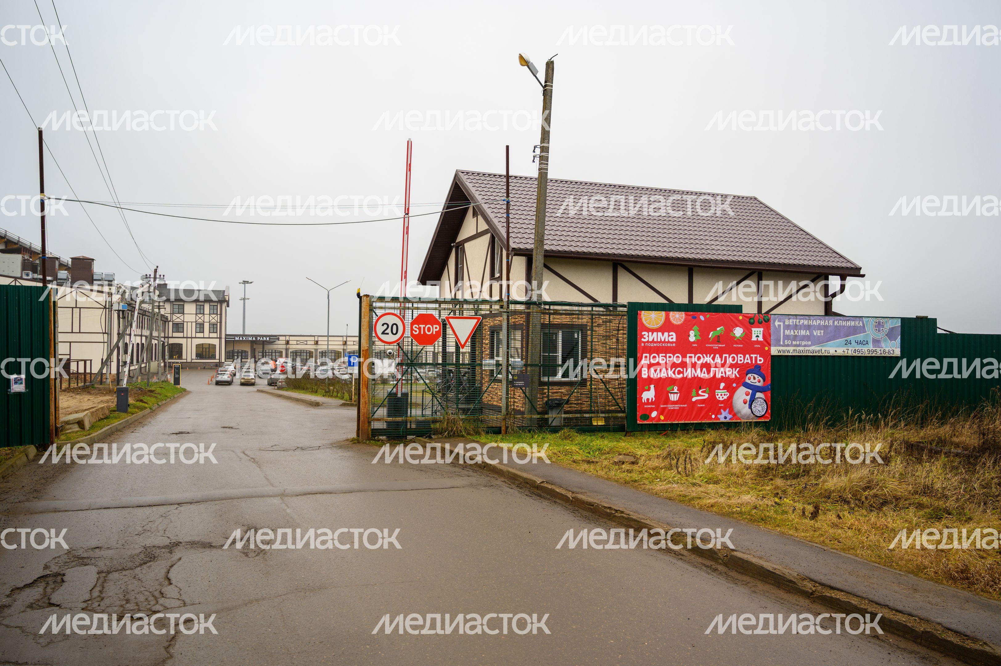 Кубок России по выездке лошадей в «Максима парке» Дмитровского округа Кубок России по выездке лошадей в «Максима парке» Дмитровского округа