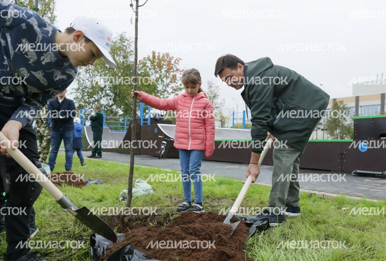 Высадка саженцев Губернатором Подмосковья в рамках экологической акции «Наш лес. Посади свое дерево»
