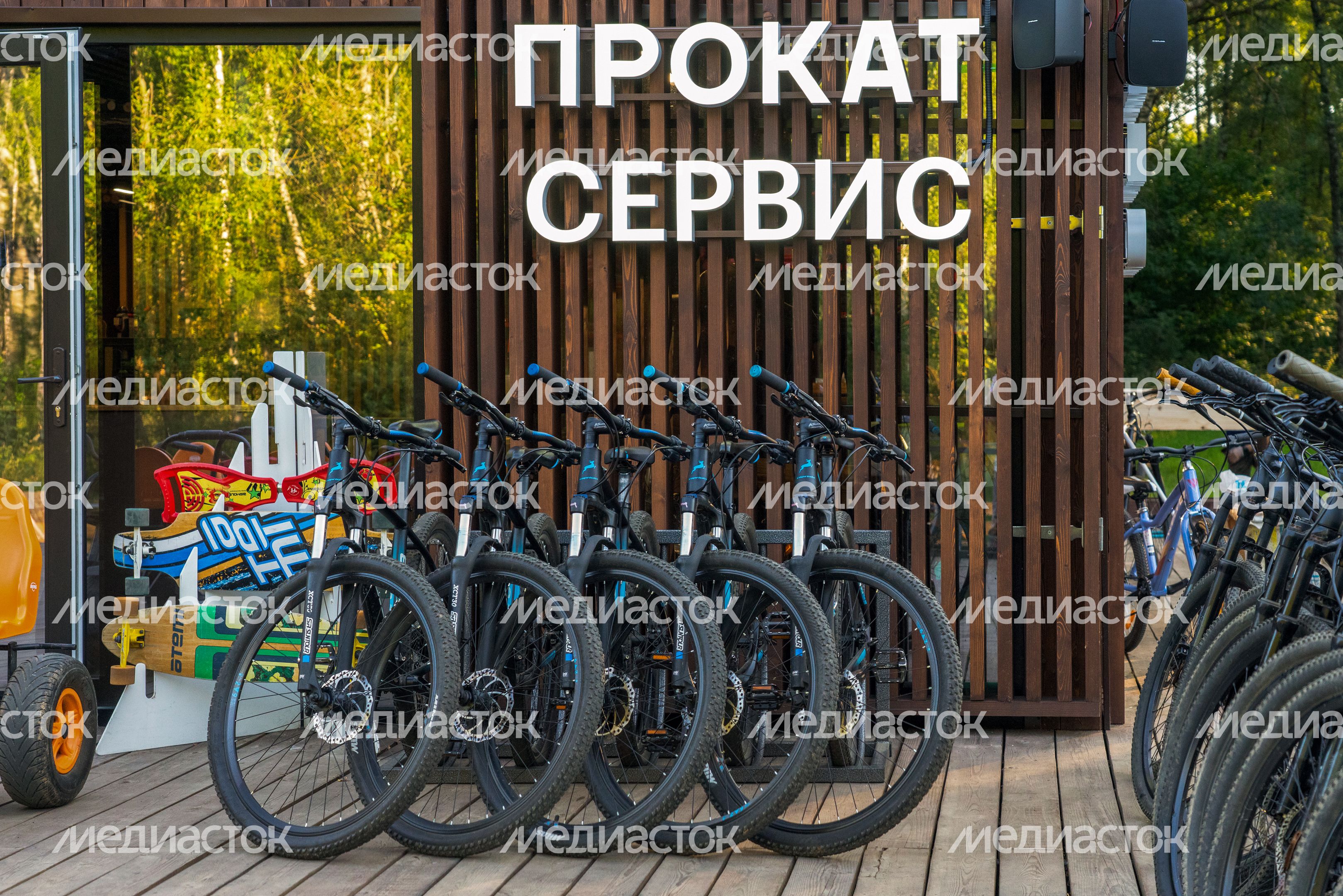 Прокат в лесопарке «Городской лес» в Домодедово