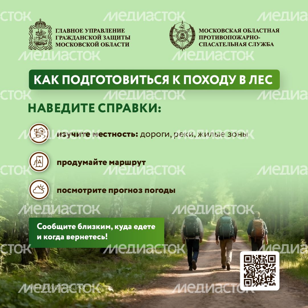Как подготовиться к походу в лес квадрат 01