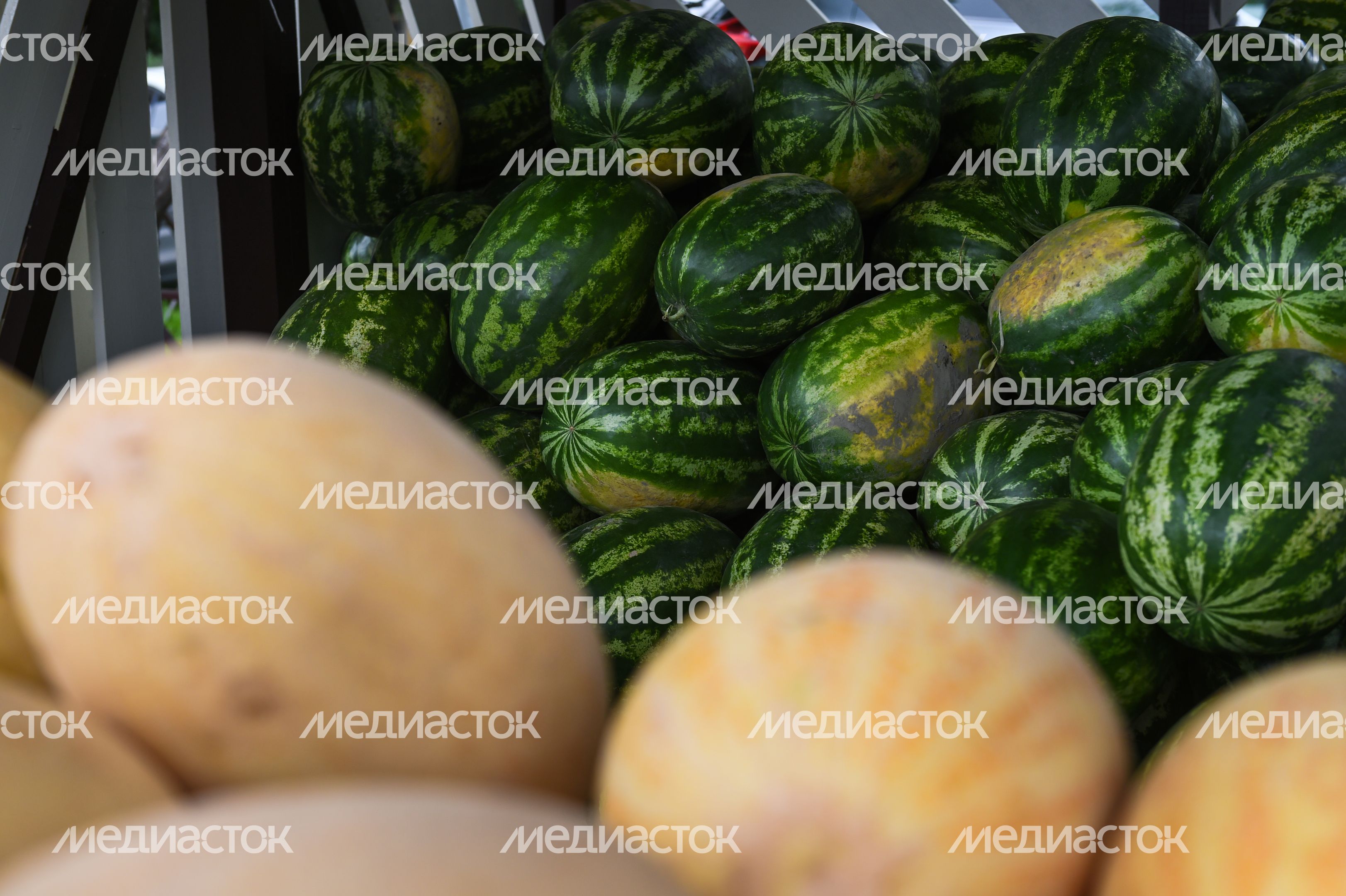 Открытие сезона бахчевых 2019 в Москве