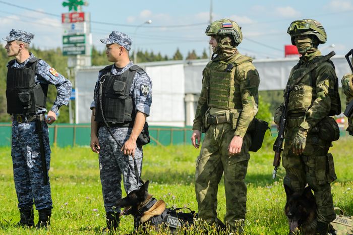 Мытищи. Шолохово. Военно-патриотический фестиваль Фронтовая собака