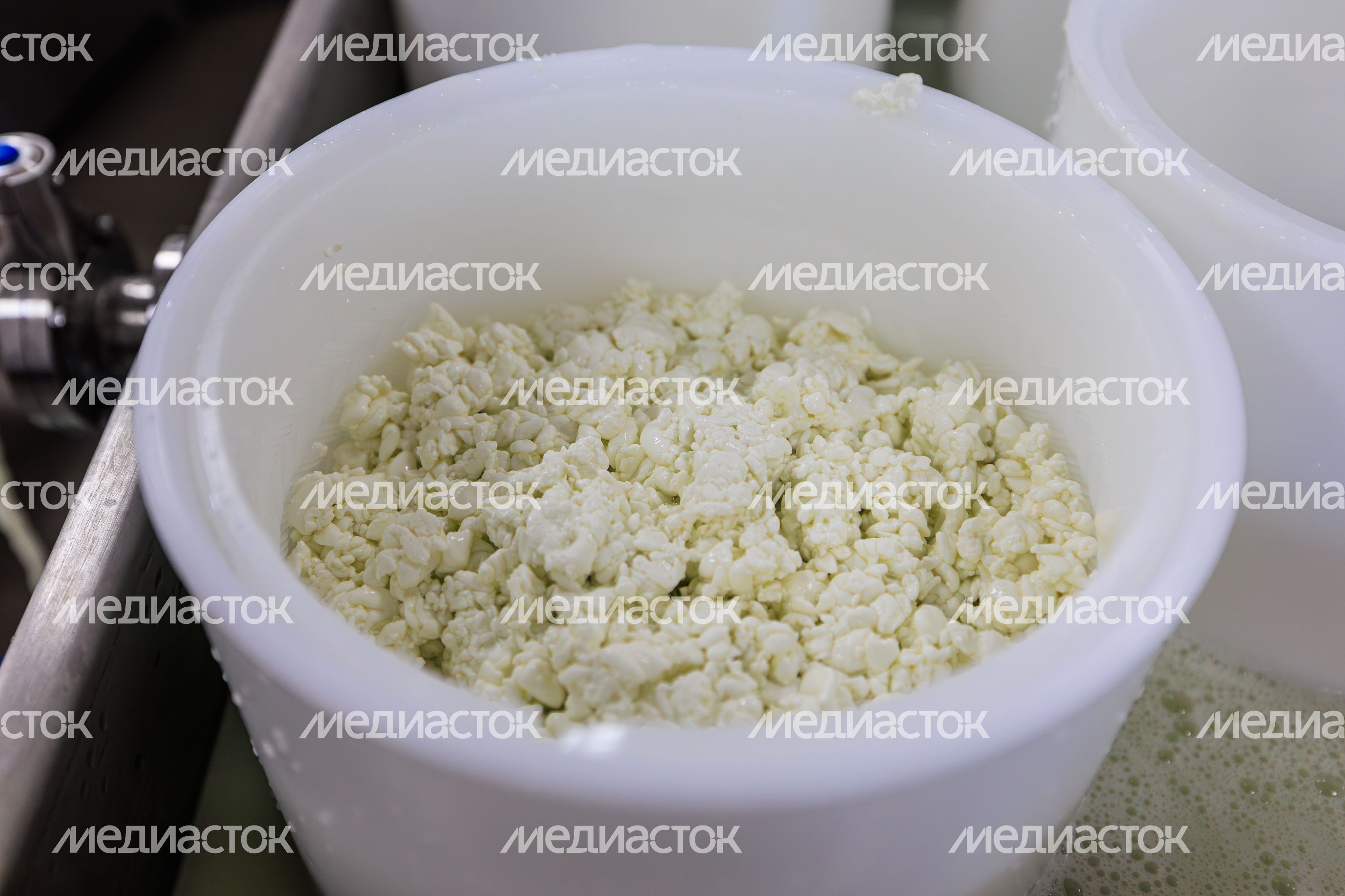 Экоферма "Шипчик" в г.о. Шаховская Экоферма "Шипчик" в г.о. Шаховская